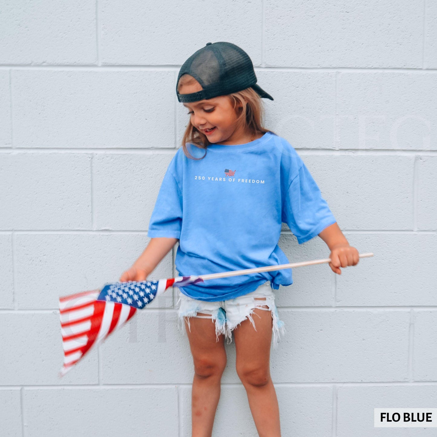 250 Years Of Freedom USA Anniversary Shirt | American 250 Merchandise | 4th Of July Graphic Tee
